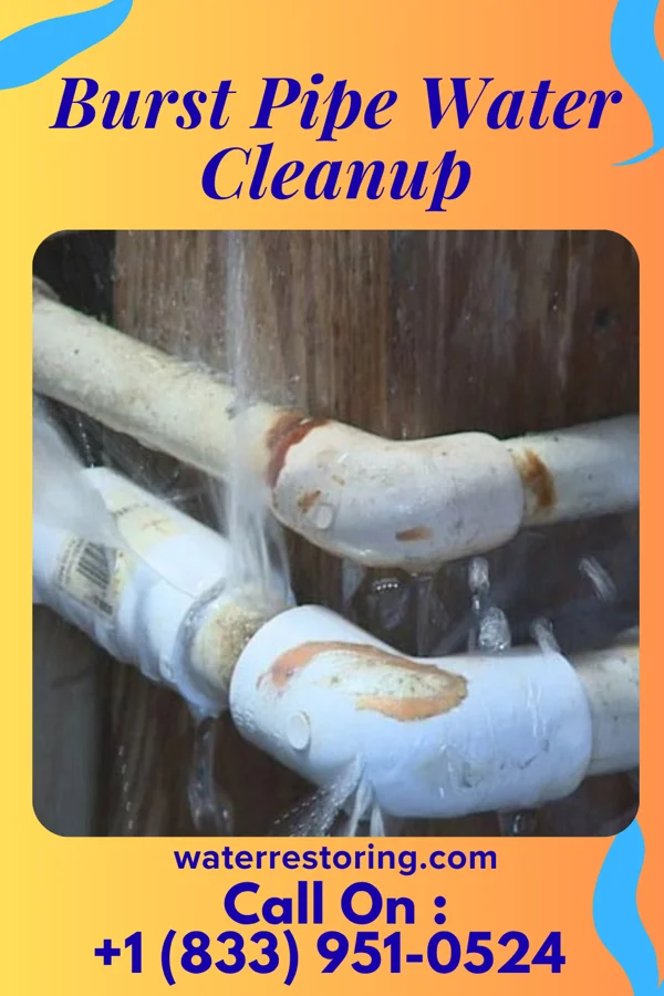 Burst Pipe Water Cleanup in Ideal, GA