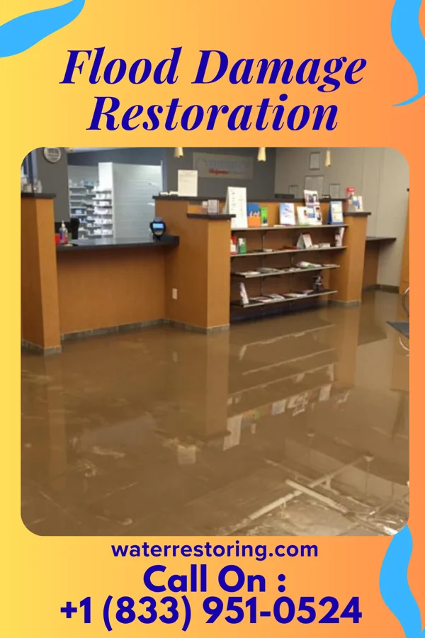Flood Damage Restoration in Ideal, GA
