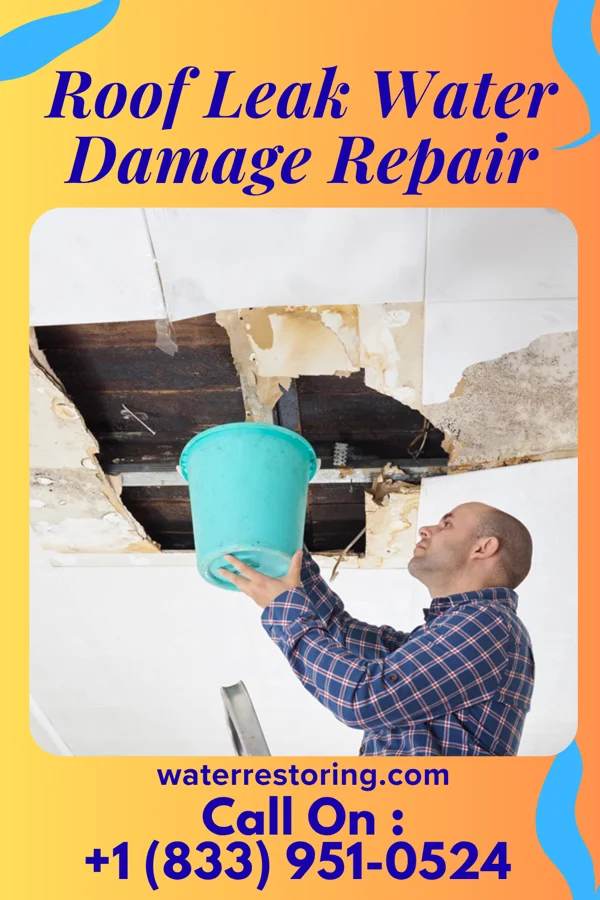 Roof Leak Water Damage Repair in Ideal, GA