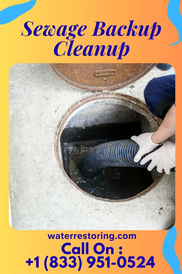 Sewage Backup Cleanup in Ideal, GA